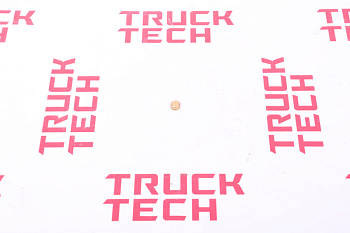 Заглушка блока цилиндров SH WP13 d=16  для китайского грузовика SHACMAN, SITRAK, HOWO, FAW, FOTON, DONG FENG, JAC