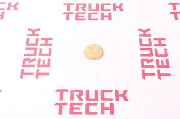 Заглушка блока цилиндров SH WP13 D=60  для китайского грузовика SHACMAN, SITRAK, HOWO, FAW, FOTON, DONG FENG, JAC